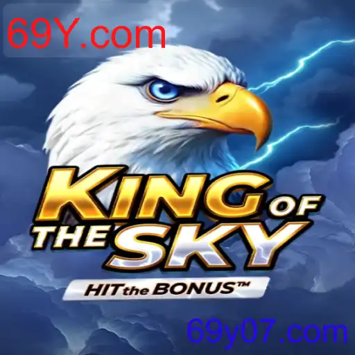 KingOfTheSky